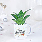 Sansevieria Celebration Oasis