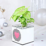 /images/pr/l/v20231123153613/syngonium-love-notes_2.jpg