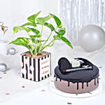 /images/pr/l/v20231204194755/birthday-bliss-arrangement_1.jpg