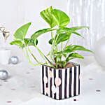 /images/pr/l/v20231204194800/birthday-bliss-arrangement_5.jpg