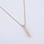 /images/pr/l/v20240301183012/elegant-charm-name-necklace_2.jpg