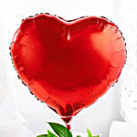 /images/pr/l/v20240530175443/red-heart-money-plant-tropical-pot_3.jpg