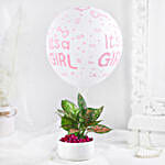 /images/pr/l/v20240530175449/aglaonema-plant-white-pot-its-a-girl-gift_4.jpg