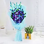 Exotic Orchids N Jade Plant Gift Combo