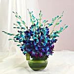 Land Of Orchids in Vase