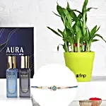 Elegant Essence Rakhi Gift Sset