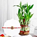 /images/pr/l/v20240802145757/evil-eye-shield-rakhi-n-jade-plant-wishes-combo_1.jpg