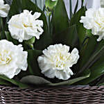 /images/pr/l/v20240809103024/white-carnations-cane-basket-arrangement_4.jpg