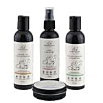 /images/pr/l/v20240902172440/ultimate-pet-special-grooming-kit_1.jpg