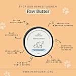 /images/pr/l/v20240902172444/ultimate-pet-special-grooming-kit_4.jpg