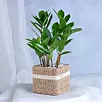 /images/pr/l/v20240930100044/flourishing-foliage_4.jpg