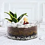 Milt Sansevieria Plant Oval Jar