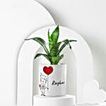 /images/pr/l/v20250117114530/forever-rooted-in-love-plant-duo_3.jpg