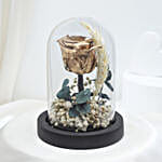 /images/pr/l/v20250122004156/radiant-forever-golden-rose_2.jpg