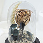 /images/pr/l/v20250122004158/radiant-forever-golden-rose_3.jpg