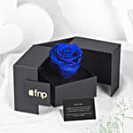 Blue Rose of Eternity