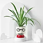 /images/pr/l/v20250306174018/cheerful-chap-money-plant_1.jpg
