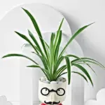 /images/pr/l/v20250306174018/cheerful-chap-money-plant_2.jpg