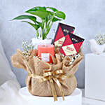 /images/pr/l/v20250715173309/jasmine-whispers-n-chocolate-dreams_1.jpg