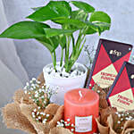 /images/pr/l/v20250715173311/jasmine-whispers-n-chocolate-dreams_4.jpg