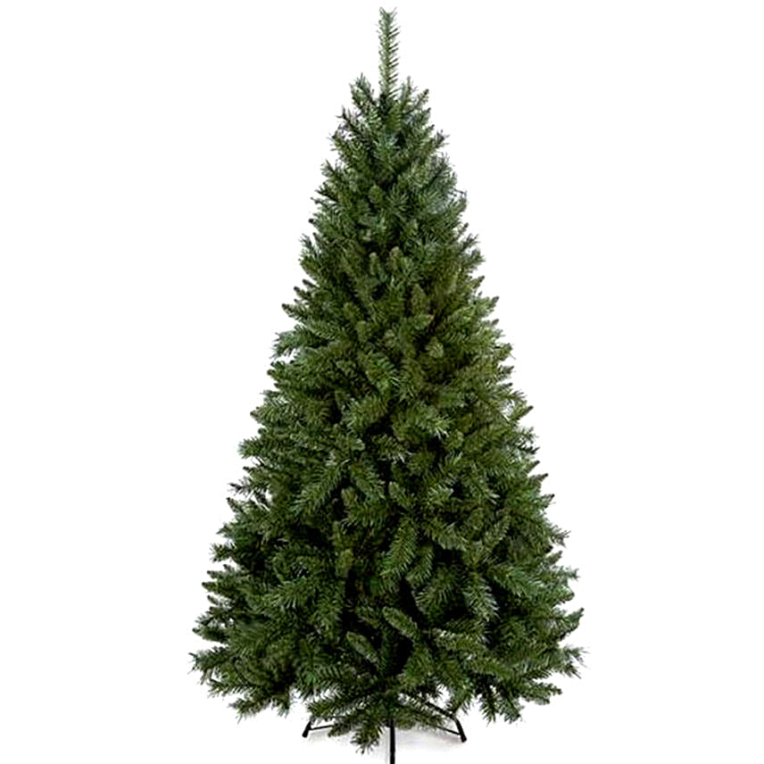 pdp_main_image