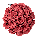 /images/pr/thailand/l/v20211005172609/blush-red-forever-roses-velvet-box_2.jpg