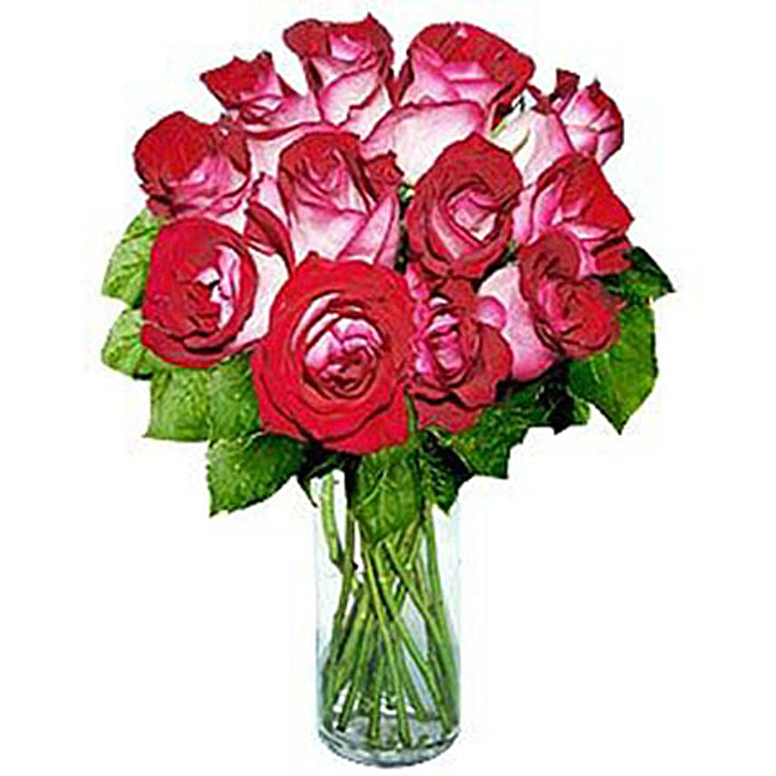 /images/pr/usa/l/v20170103104618/12-long-stem-fire-and-ice-roses_1.jpg