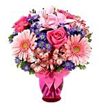 /images/pr/usa/l/v20200923184504/gerbera-daisy-celebration_1.jpg