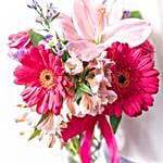 /images/pr/usa/l/v20200923184504/gerbera-daisy-celebration_2.jpg