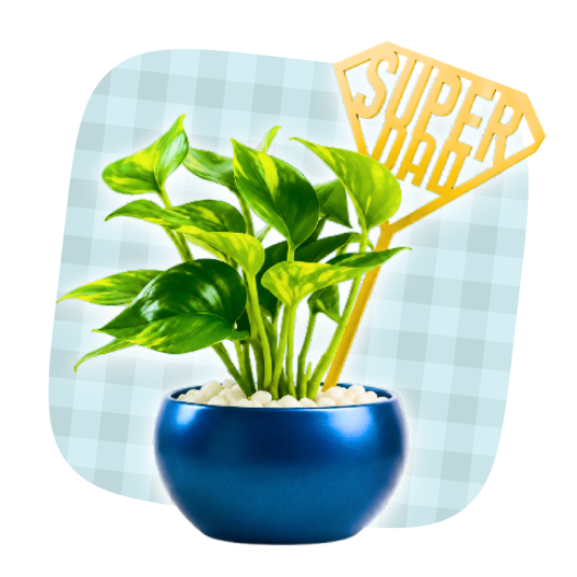 Plants