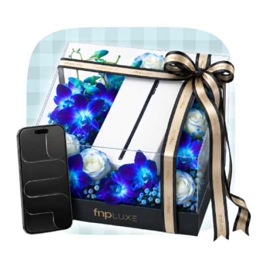 Premium Gifts