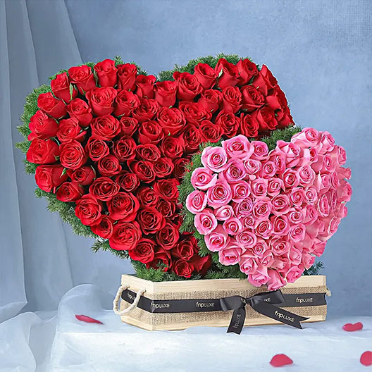 Anniversary