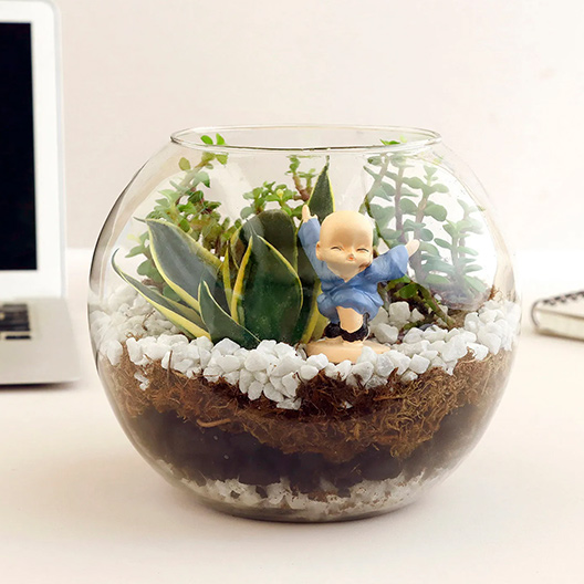 Terrariums