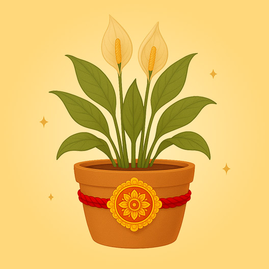 With Plants