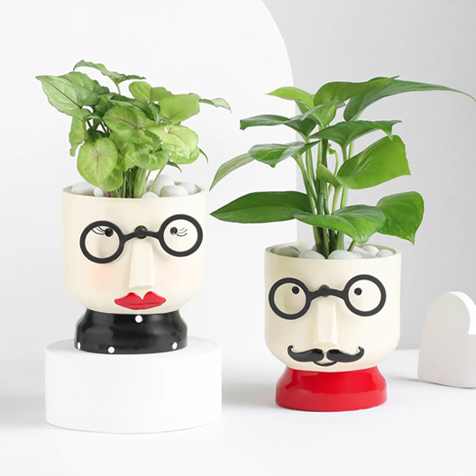 Plants