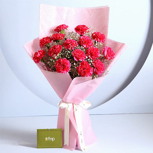 Carnations