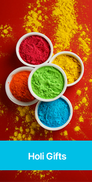 Holi Day