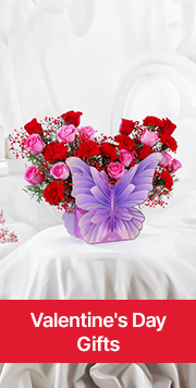 Valentine Day Gifts