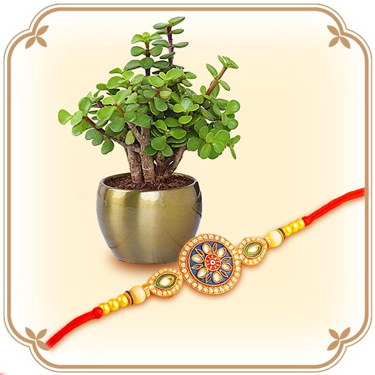 Rakhi With Plants