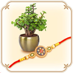 Rakhi With Plants