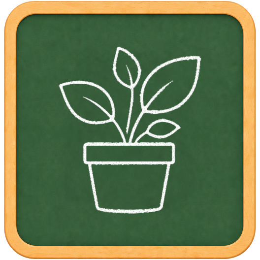 Plants