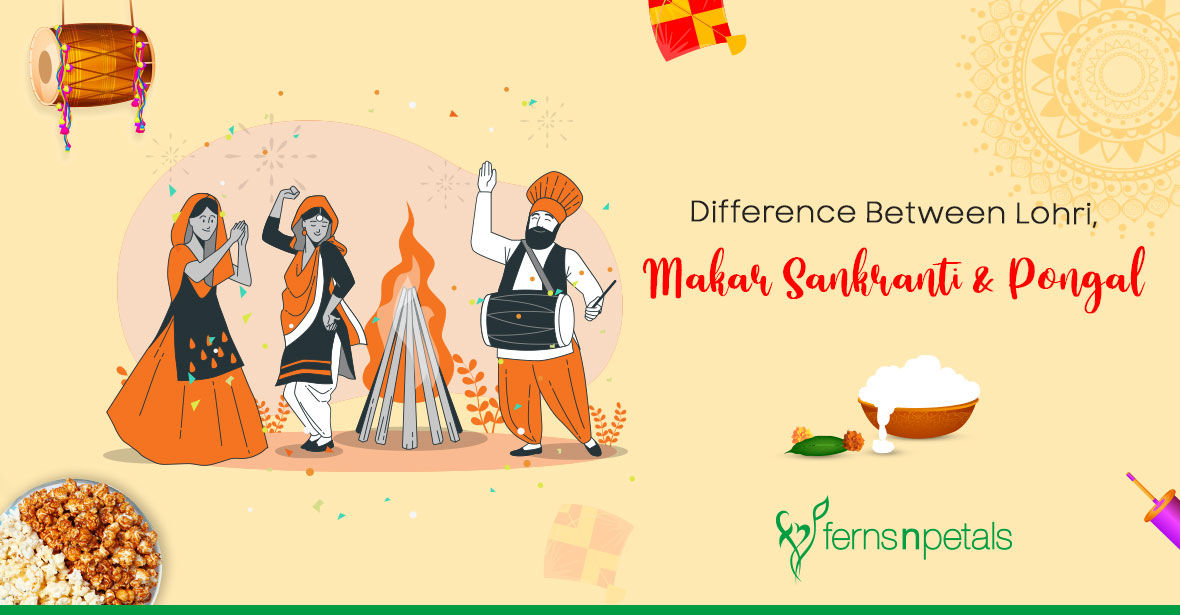 How are Lohri, Makarsankranti and Pongal Different