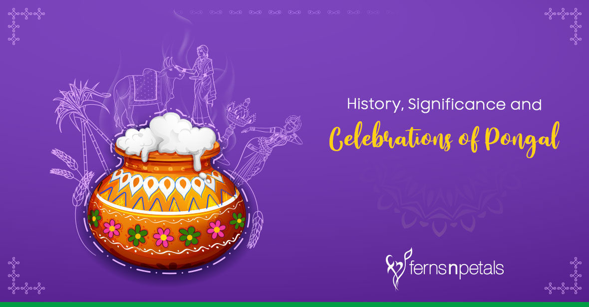 Pongal - History, Significance & Celebrations