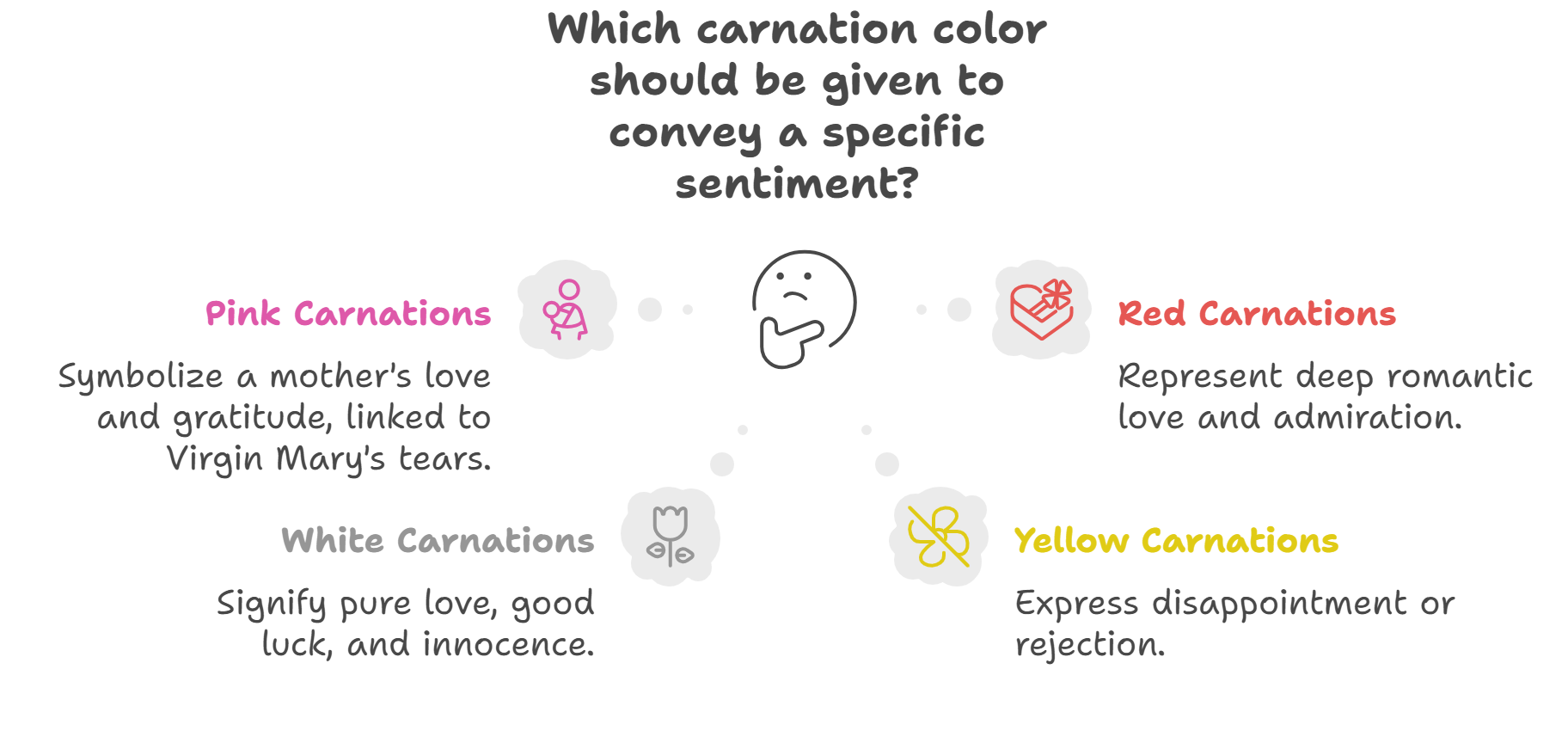 Interesting facts about carnations