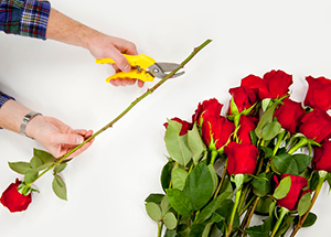 How to Take Care of Cut Flowers?