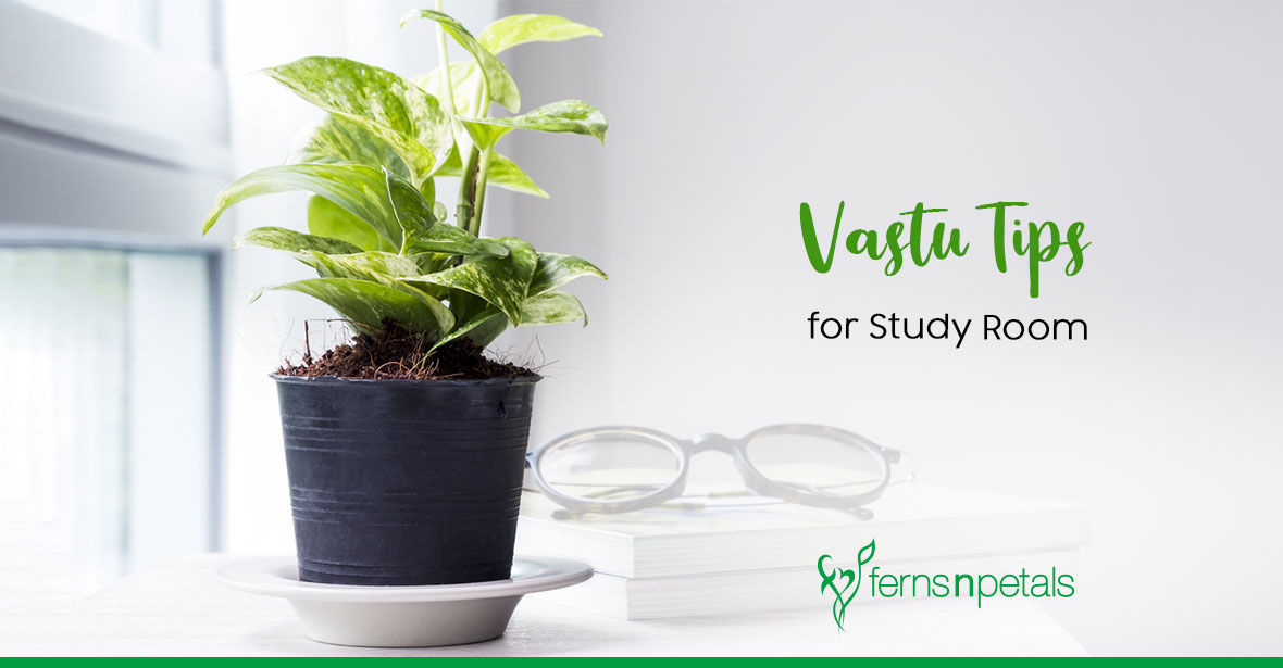 Vastu Tips for Study Room