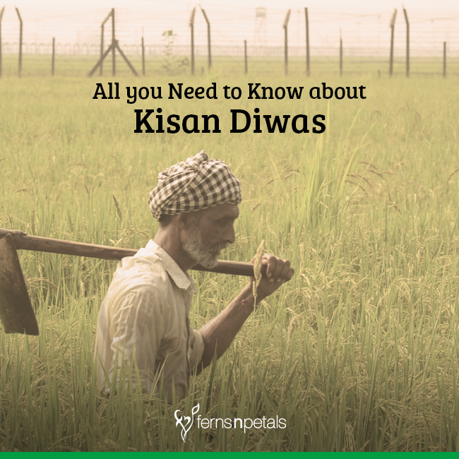 All you need to Know about Kisan Diwas