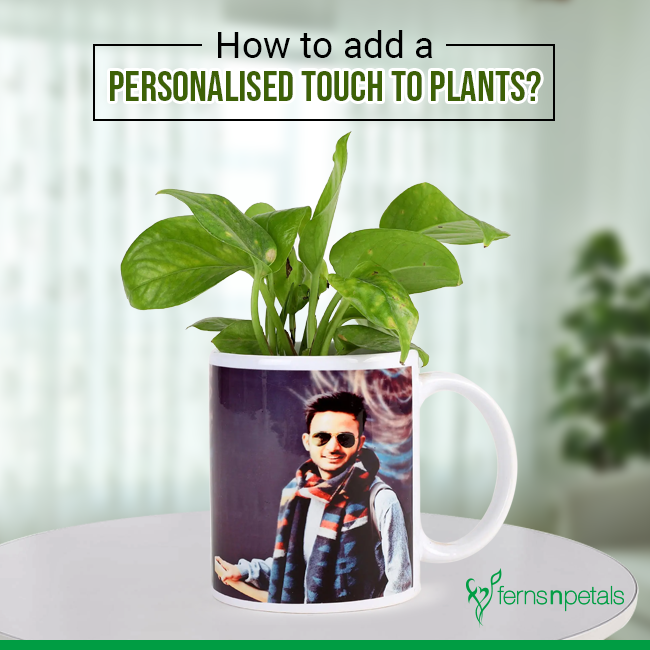 How to add a Personalised Touch to Plants?