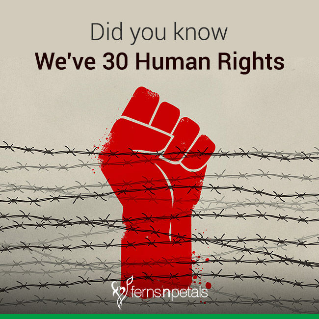 Did you know you have 30 Basic Human Rights