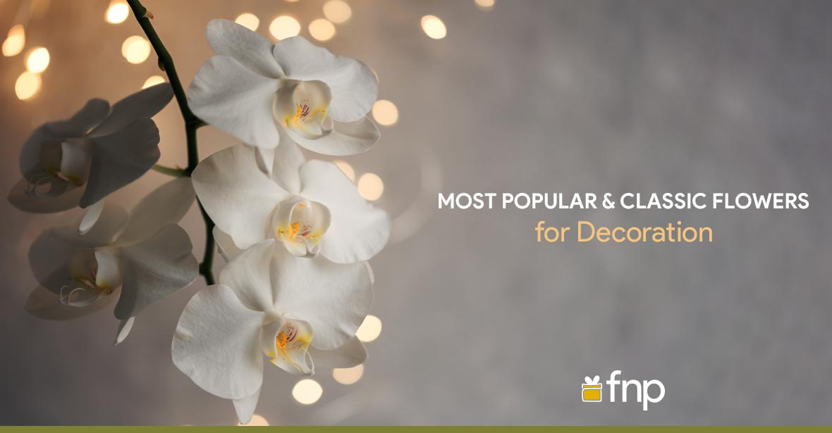 Classic Flowers Used for Decoration